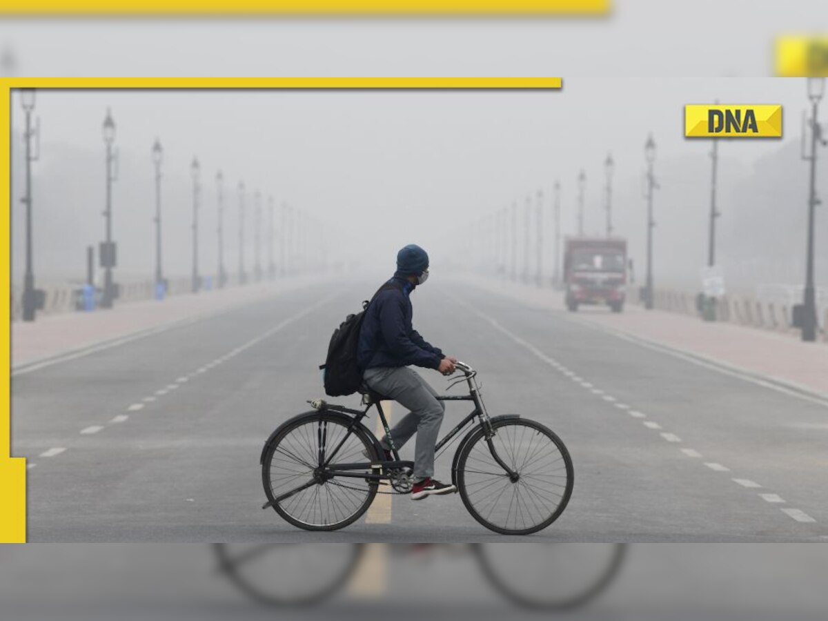 Cold wave alert! Delhi, UP, several other states to see intense cold, dense fog in next 4 days, IMD releases list