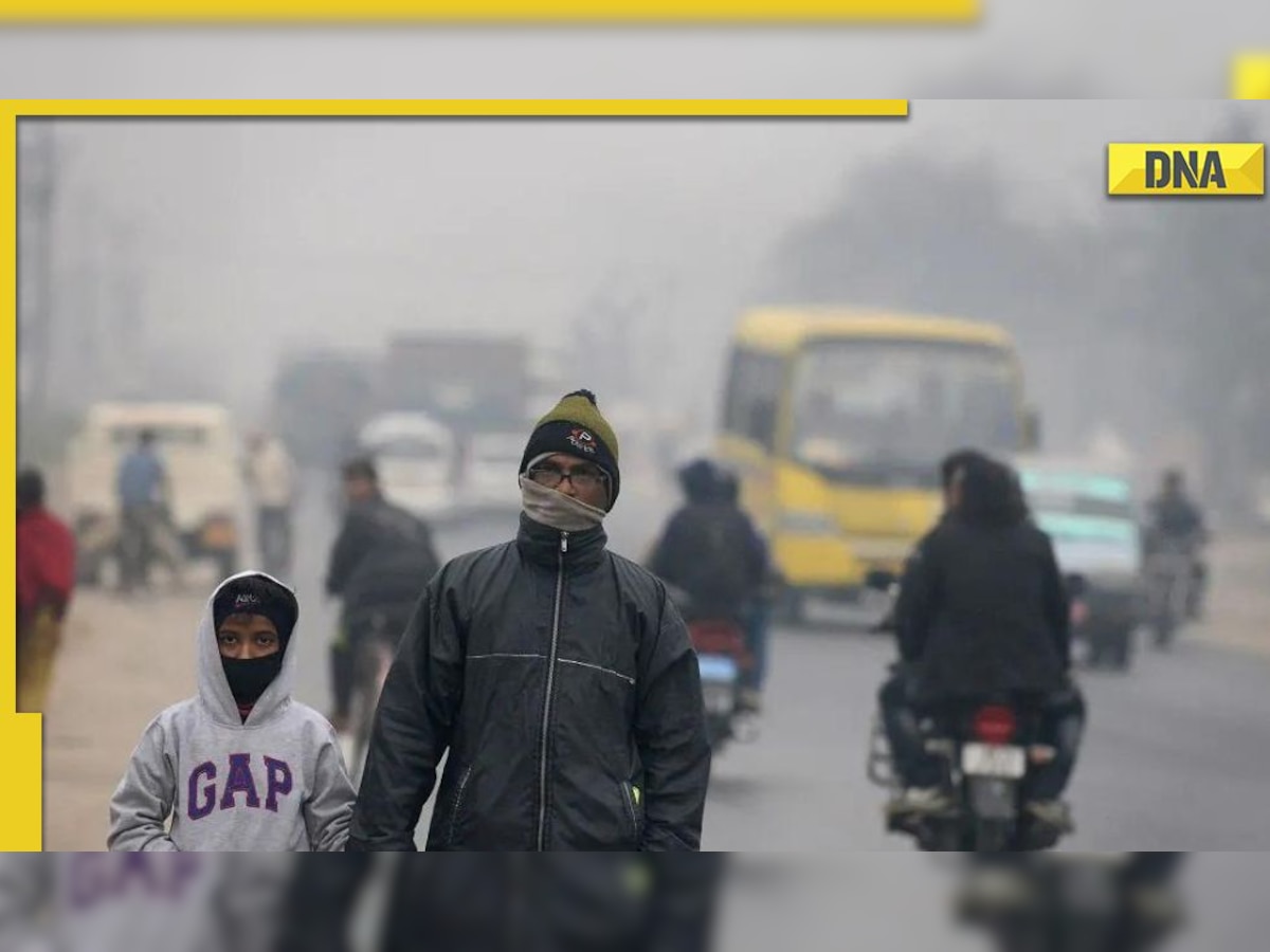 IMD Weather Update: Cold wave, dense fog predicted in Delhi, Punjab, Haryana, Chandigarh till Jan 7