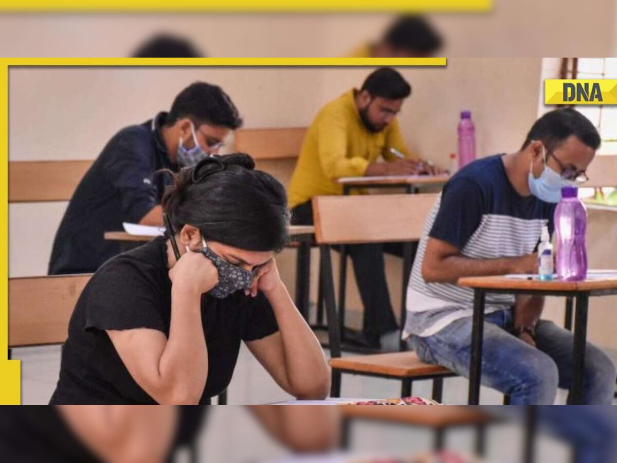 SBI Clerk Prelims Result 2022 announced: Here's direct link, how to check result