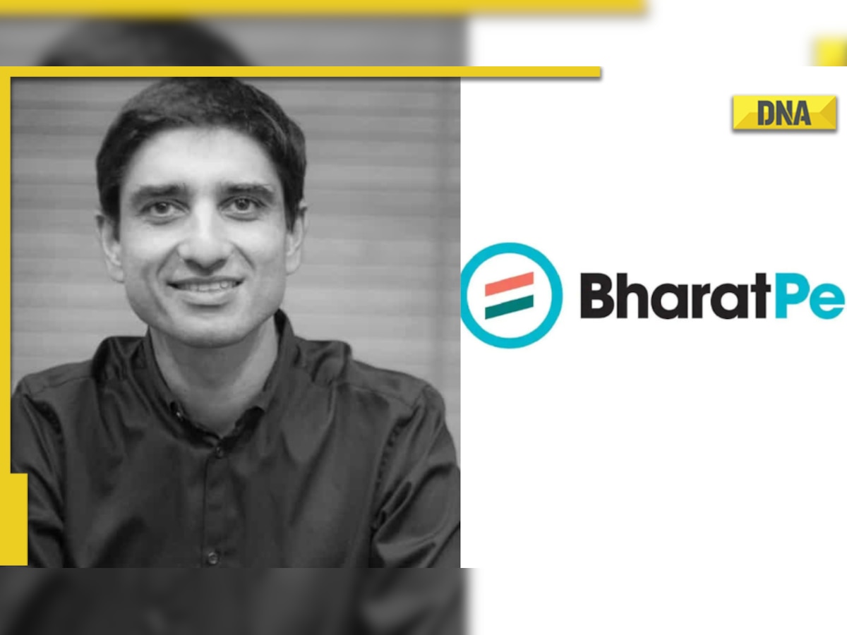 Who is Suhail Sameer, BharatPe CEO resigning after five months of taking over