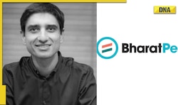 Who is Suhail Sameer, BharatPe CEO resigning after five months of taking over