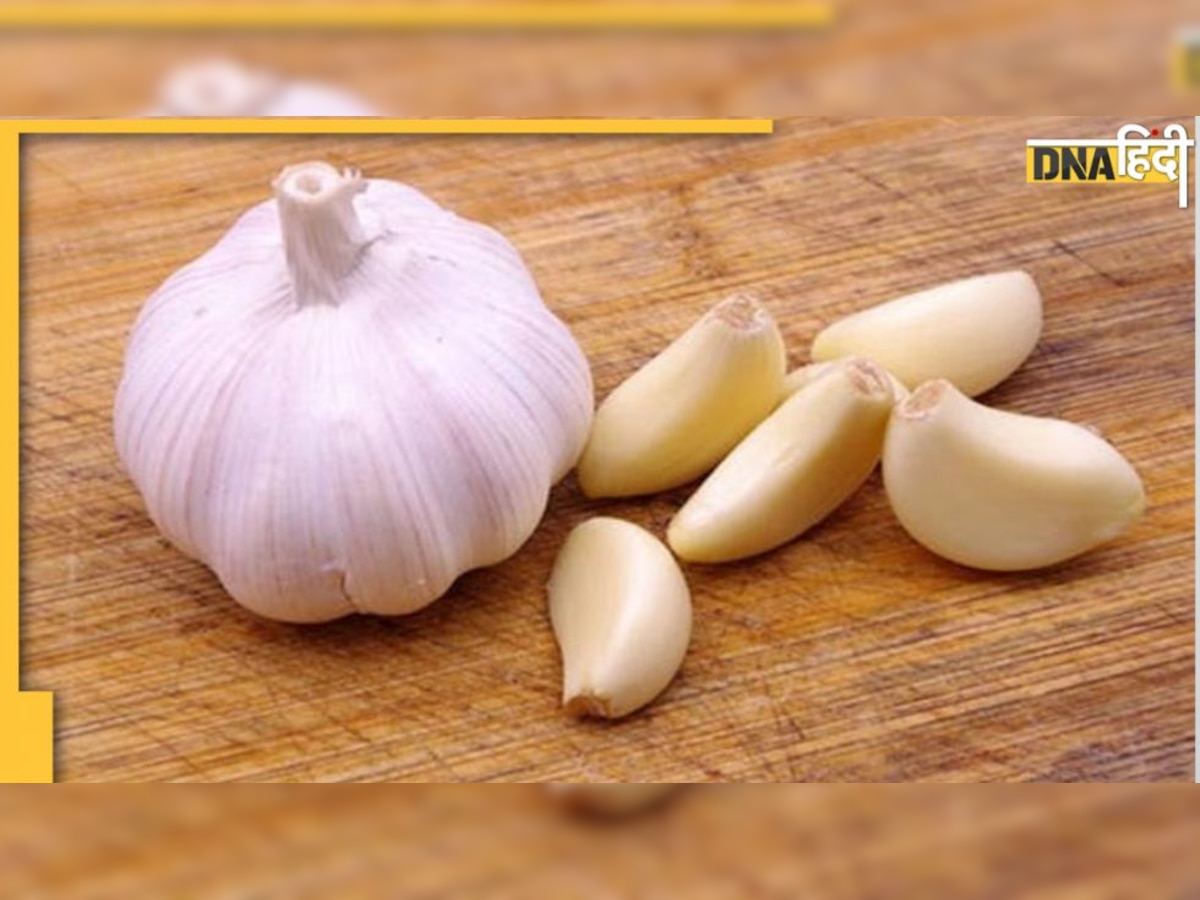 Garlic Side Effects: इन 7 बीमारियों में लहसुन खाना पहुंचा देगा हॉस्पिटल, ये लोग ज्यादा रहें सतर्क