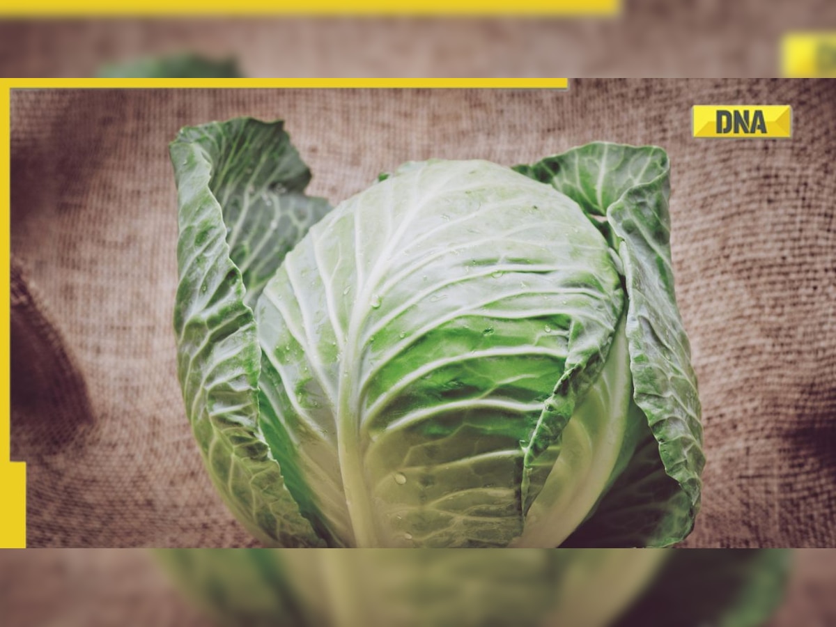 5 healthy reasons to eat green cabbage