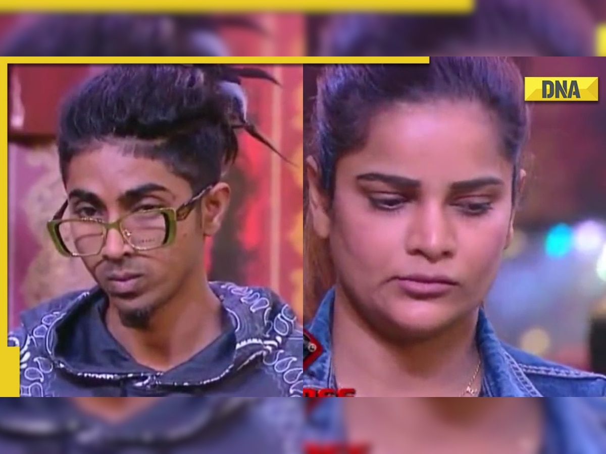 Bigg Boss 16: Taskmaster punishes MC Stan and Archana for their 'ugly' verbal spat, Nimrit, Shiv apologise