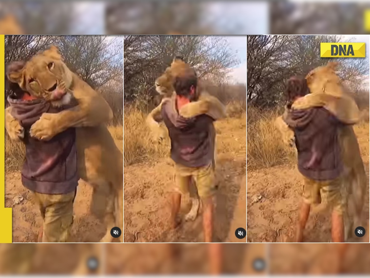 Viral video of lion hugging man will kill your midweek blues, WATCH