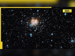 NASA: Hubble space telescope captures a stunning cluster of 1,100 stars