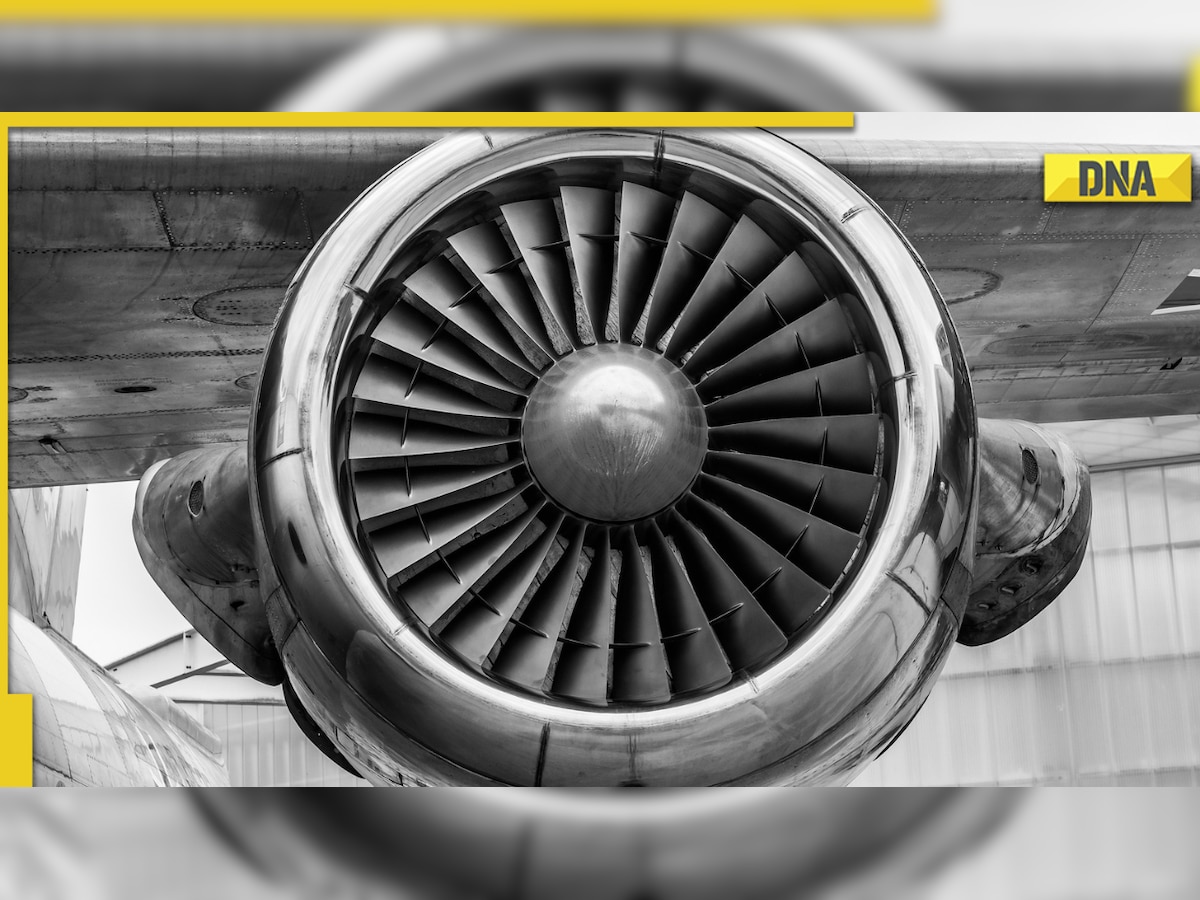 Urinating incident on Paris-New Delhi flight: DGCA seeks report from Air India 