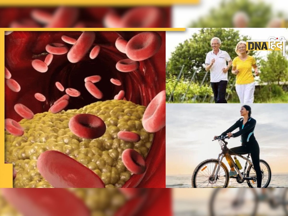 Exercise for Cholesterol: ये 5 एक्सरसाइज शरीर के बैड कोलेस्ट्रॉल करेंगे कम, डायबिटीज, मोटापा और हार्ट डिजीज से भी मिलेगा छुटकारा