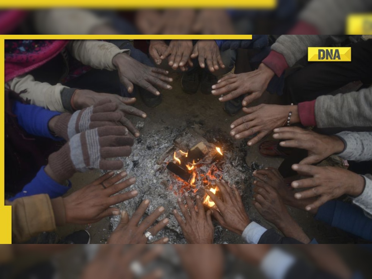 Delhi weather forecast: When will cold wave end in Delhi NCR? Check latest IMD update