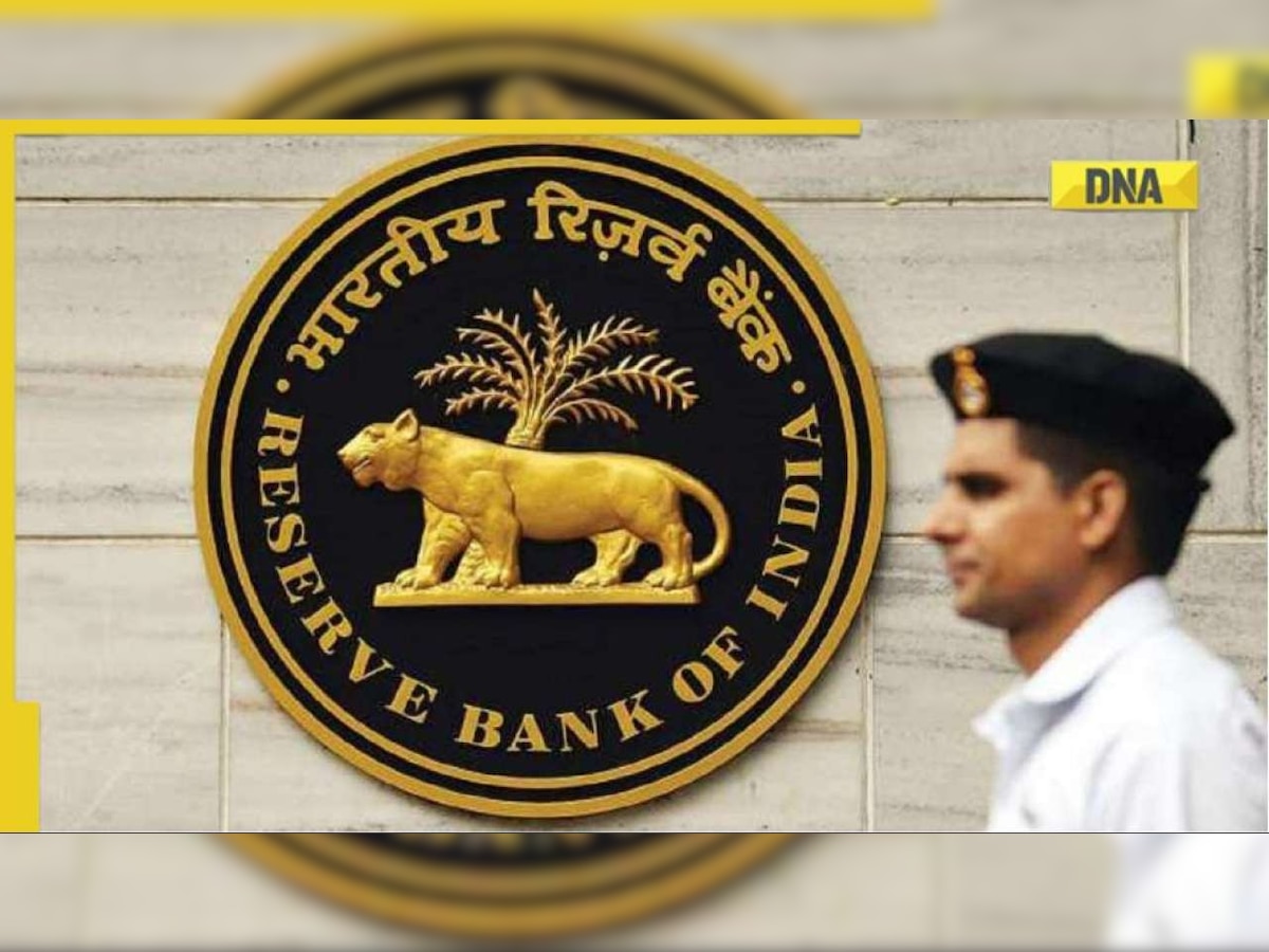 THESE banks are 'too big to fail', RBI list revealed