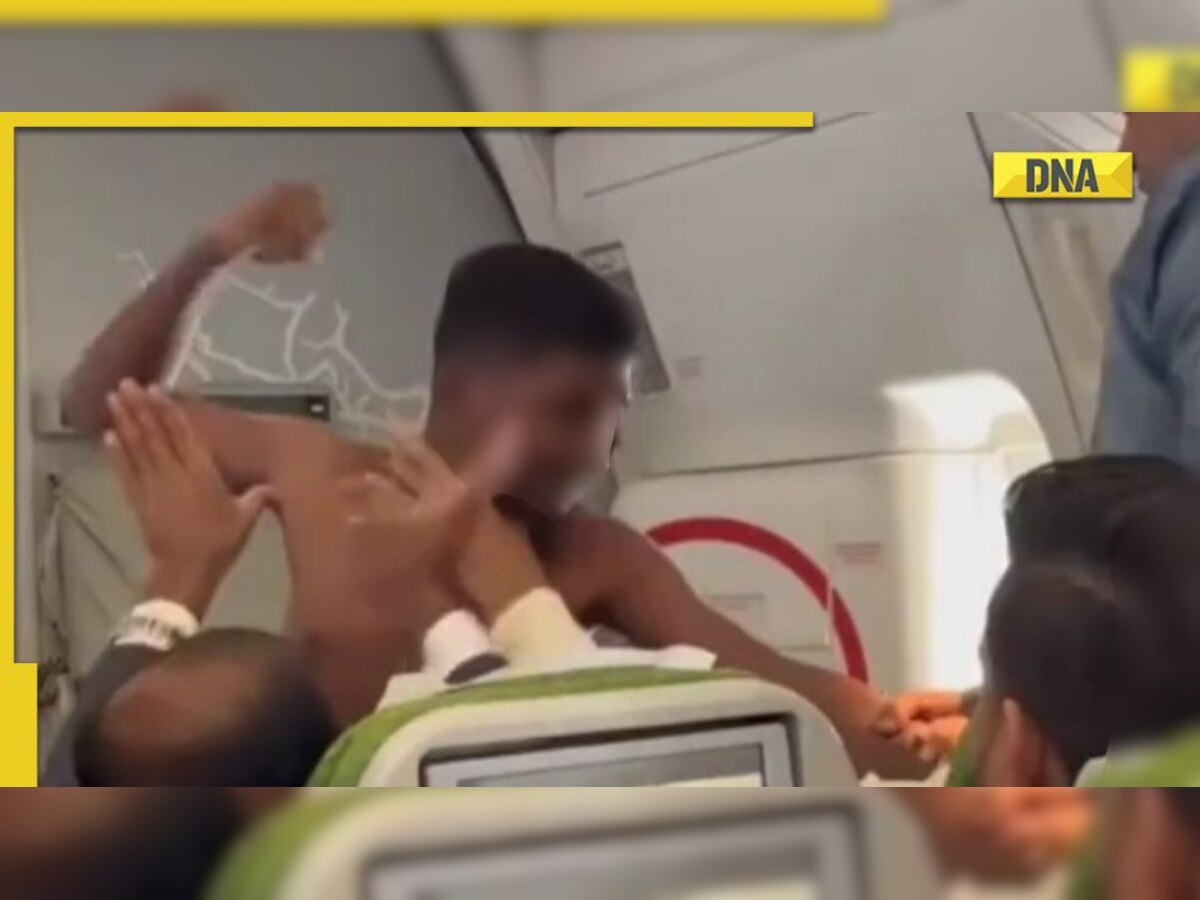 Watch: Video of another mid-air fight goes viral, shirtless man throws punches at co-passenger