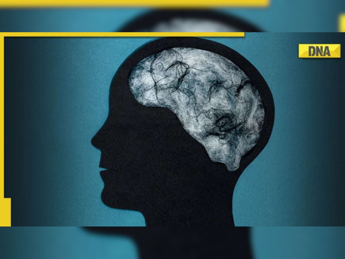 Boost your brain health with THESE 5 memory-enhancing herbs