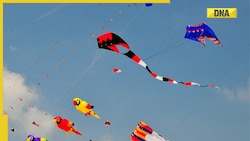 Makar Sankranti 2023: Here's why kite flying is an important aspect of the festival