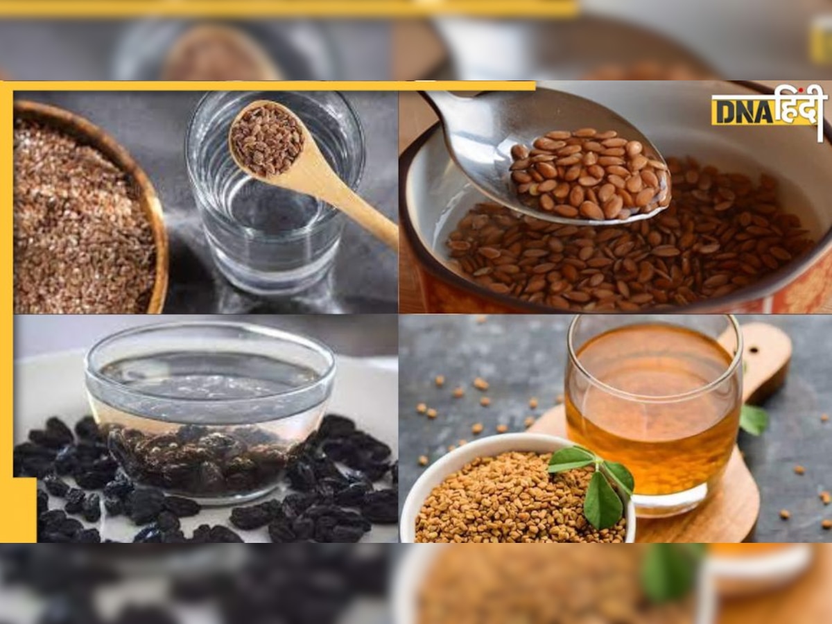 Cholesterol Remedy: रोज रात में भीगा लें ये 5 चीजें, सुबह खाली पेट खाएं, नसों में जमी वसा तेजी से लगेगी पिघलने