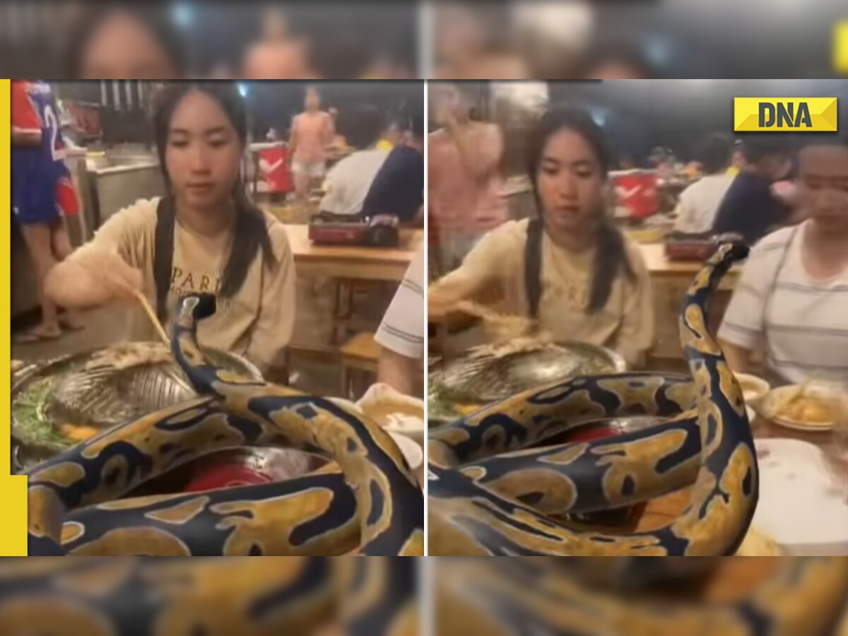 Viral video: Massive 'python' dines with women in viral video, here's the truth