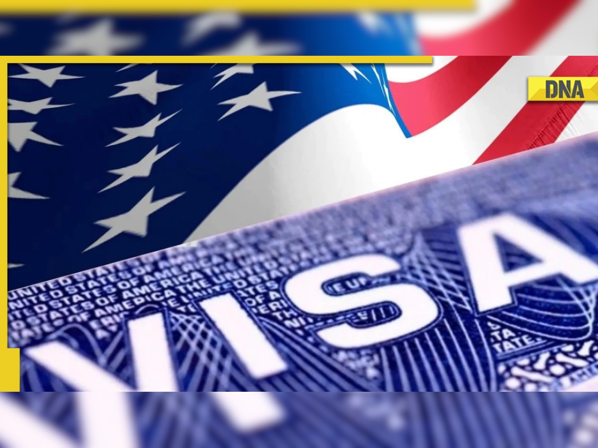 From H-1B to B-2 tourist visa, F-1 student visa: A look at different types of visas available for visiting United States