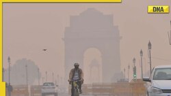 Delhi weather update: Short relief from chilling cold wave, capital wakes up to 12 degrees Celsius temperature