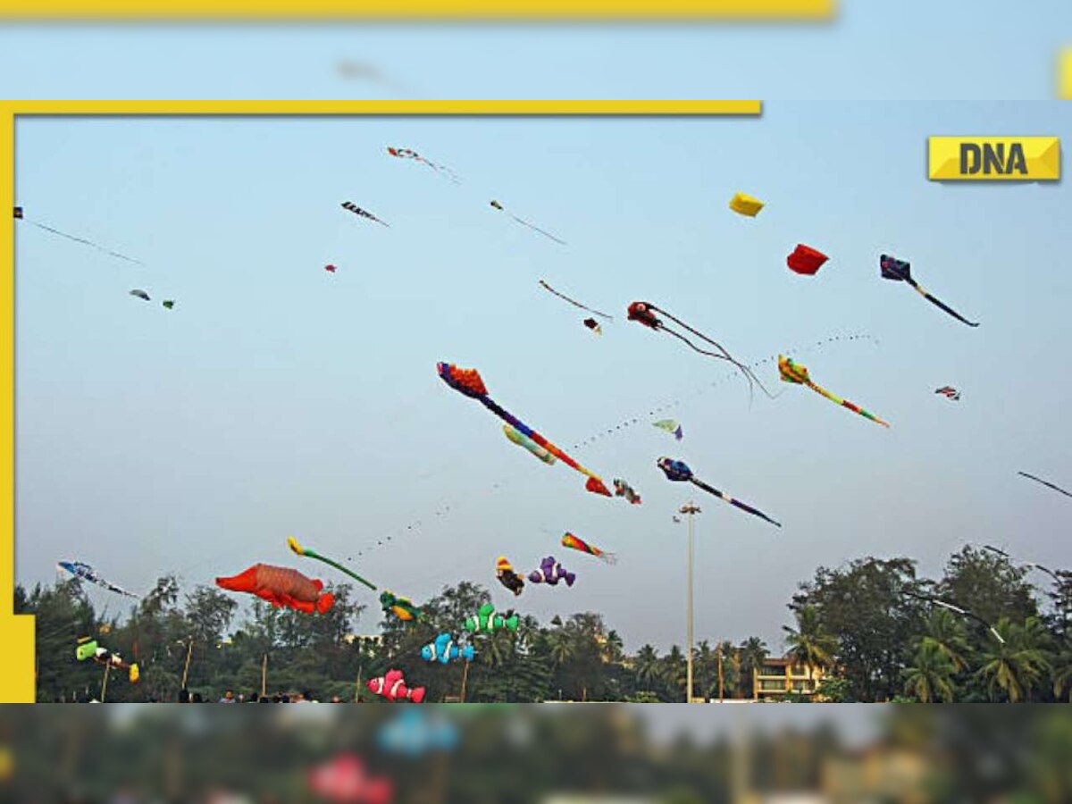 Makar Sankranti 2023: Know date, do's and don'ts to follow for International Kite Festival 2023 Gujarat