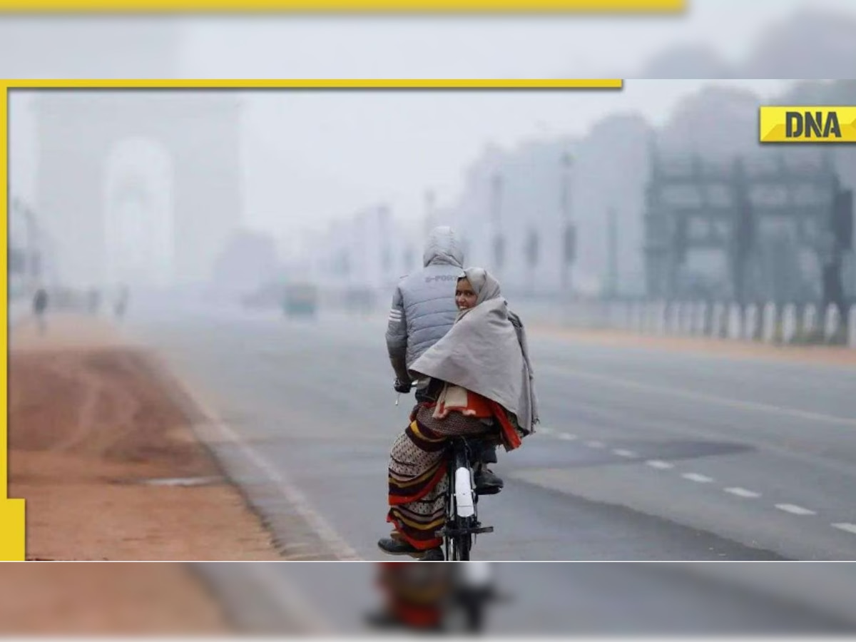 IMD weather update: Dense to very dense fog likely over north India from THIS date, check forecast