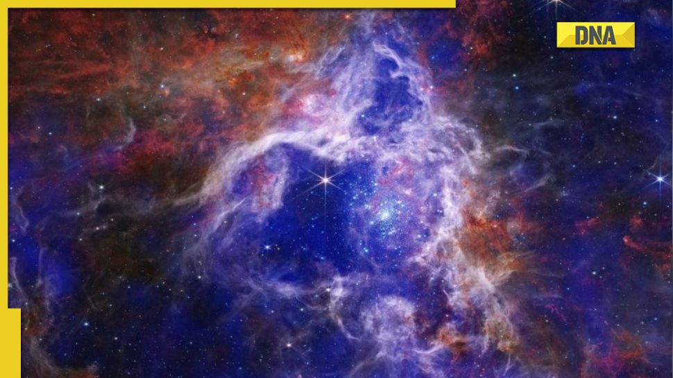 Nasa: James Webb Space Telescope captures early star formation ...