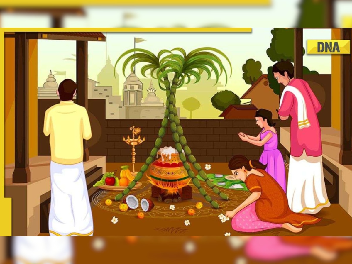 Pongal Holidays 2023: Schools in Tamil Nadu to remain closed for 4-day Pongal celebrations