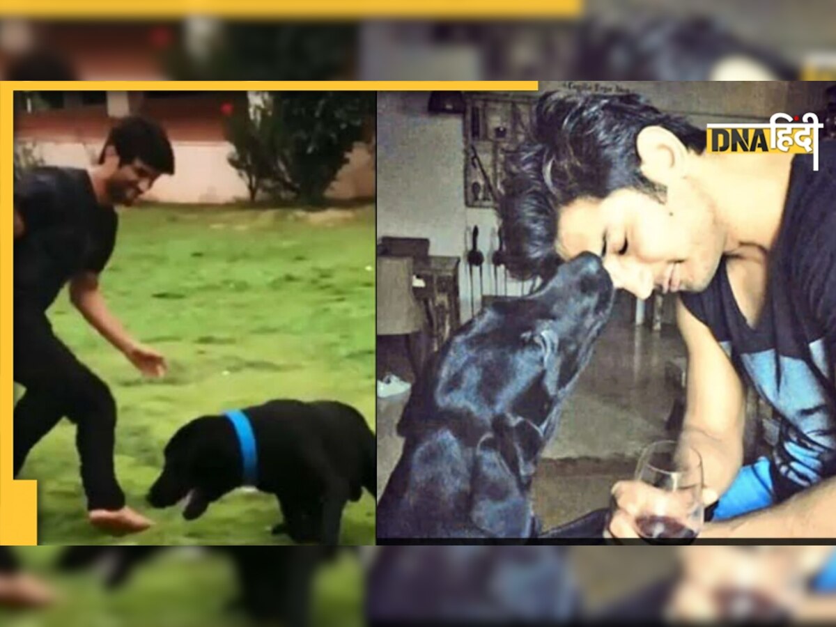 Sushant Singh Rajput Dog: फज ने दुनिया को कहा अलविदा, बहन ने बताया सुशांत सिंह राजपूत से कितना करता था प्यार