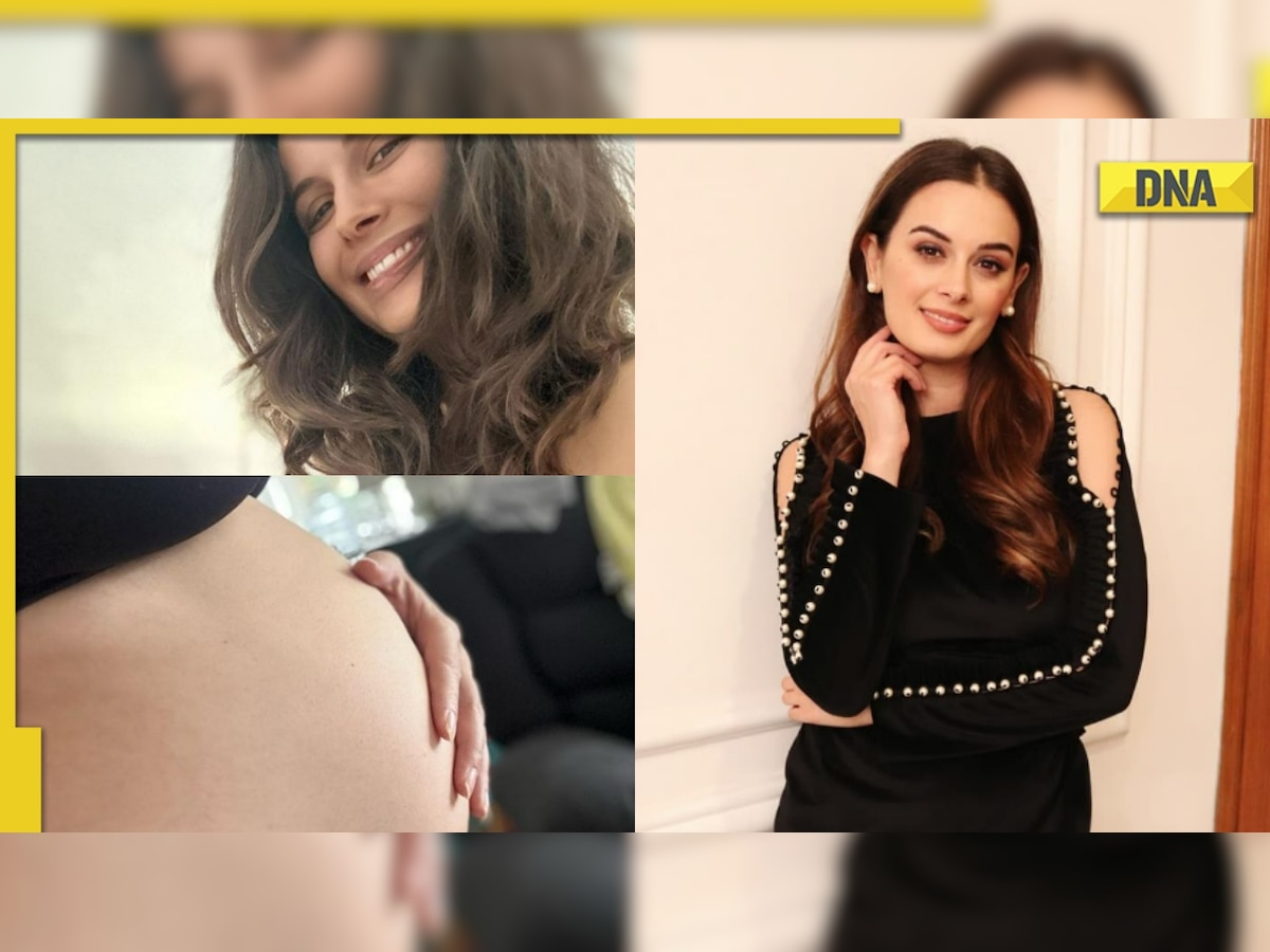 Evelyn Sharma Xxx Videos - Evelyn Sharma announces pregnancy, to become mother for second time