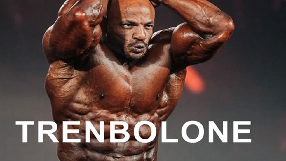 Trenbolone Steroids: Tren Steroids Benefits, before and after results ...