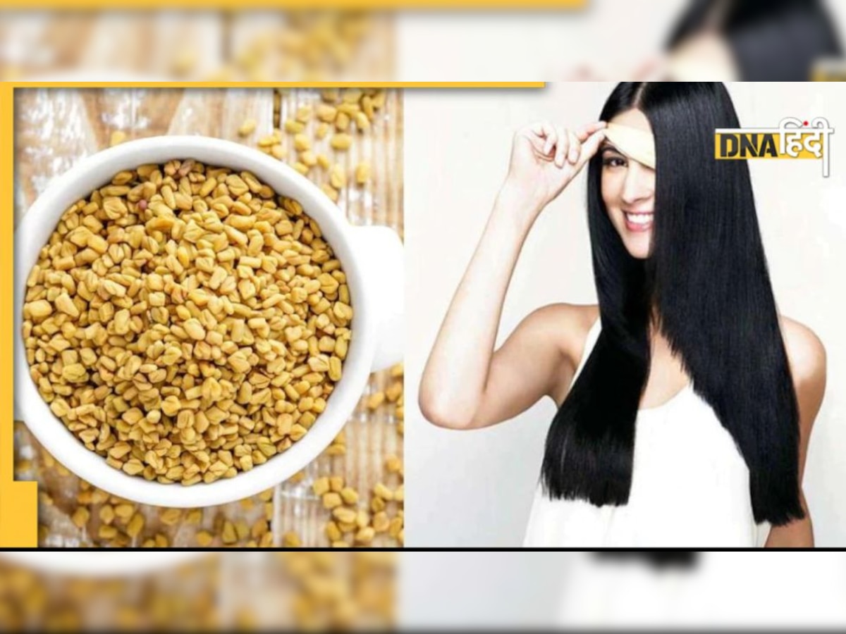 Fenugreek Seeds: मेथी दाना से मिलेंगे घने-मोटे और लंबे बाल, जानें इस्तेमाल करने के ये 5 तरीके