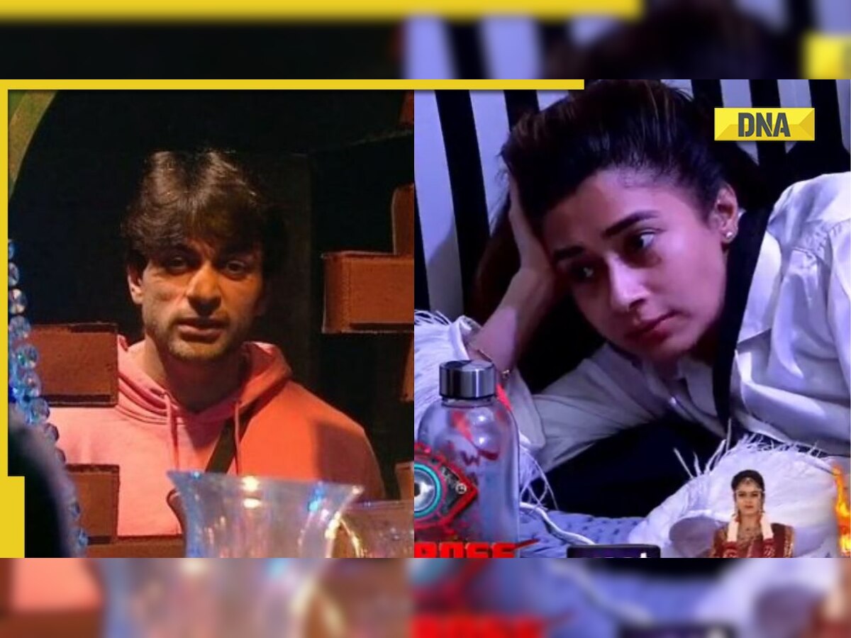 Bigg Boss 16: Tina Datta calls Shalin Bhanot cheap m***n, claims he asked her 'something materialistic' before the show