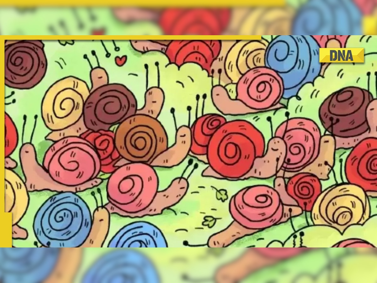 Optical illusion: Can you find the rose hidden among these snails