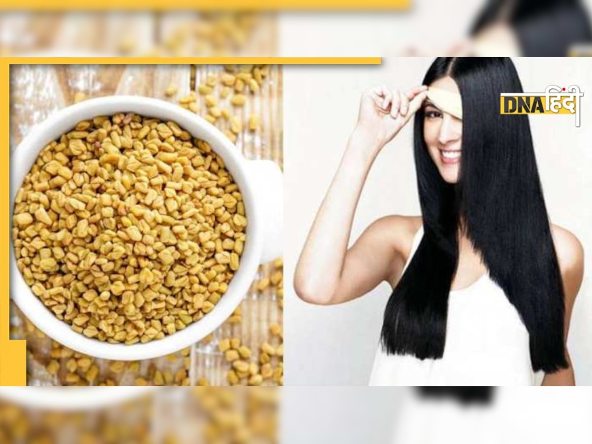 Methi For Hair Care: काले-घने लंबे बाल का सपना होगा पूरा, बस मेथी का जान लें सही इस्तेमाल का तरीका