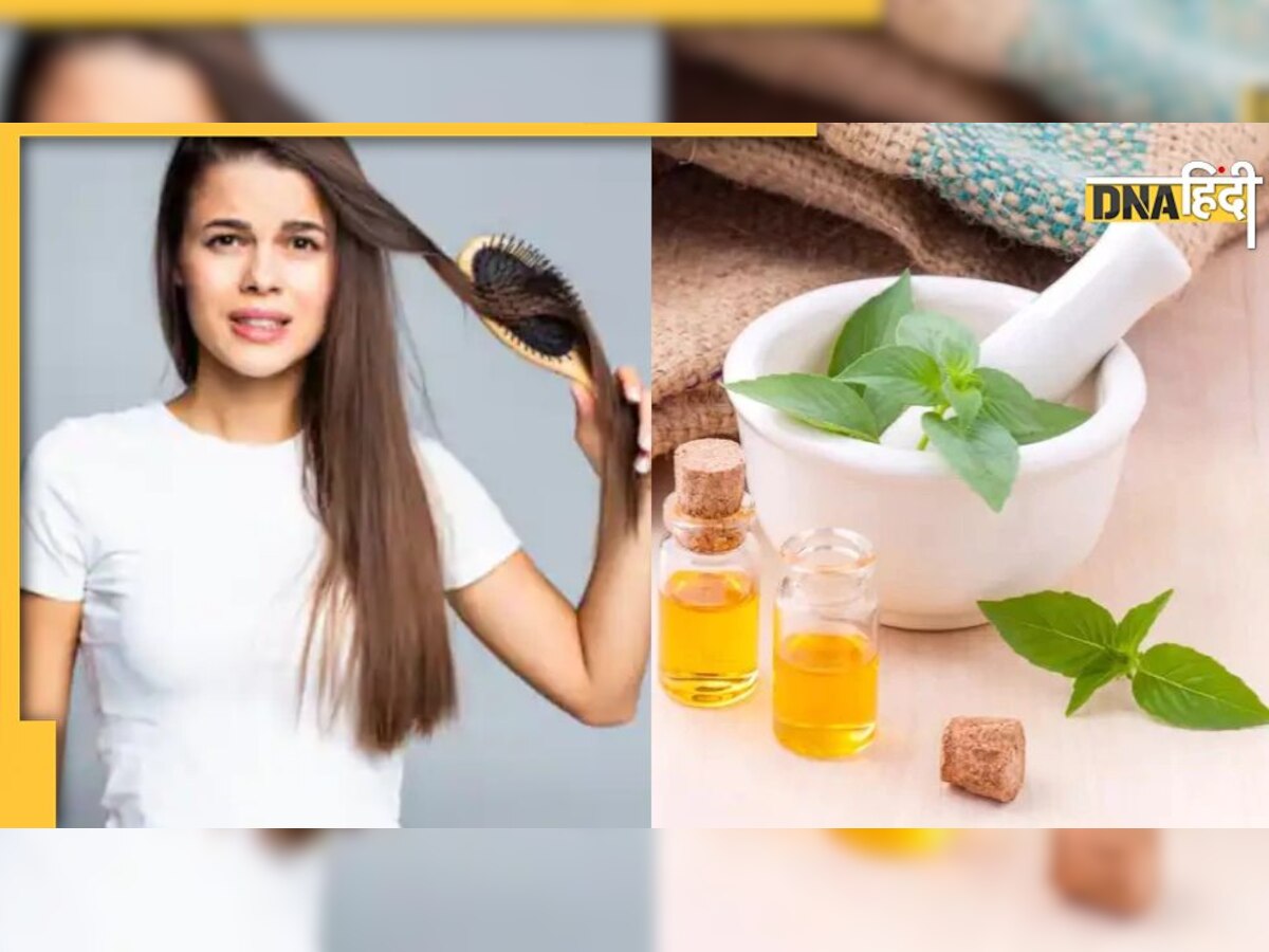 Hair Care Tips: बालों से जुड़ी इन समस्याओं को दूर रखता है तुलसी का तेल, जड़ से करनी है सफाई तो जरूर करें इस्तेमाल