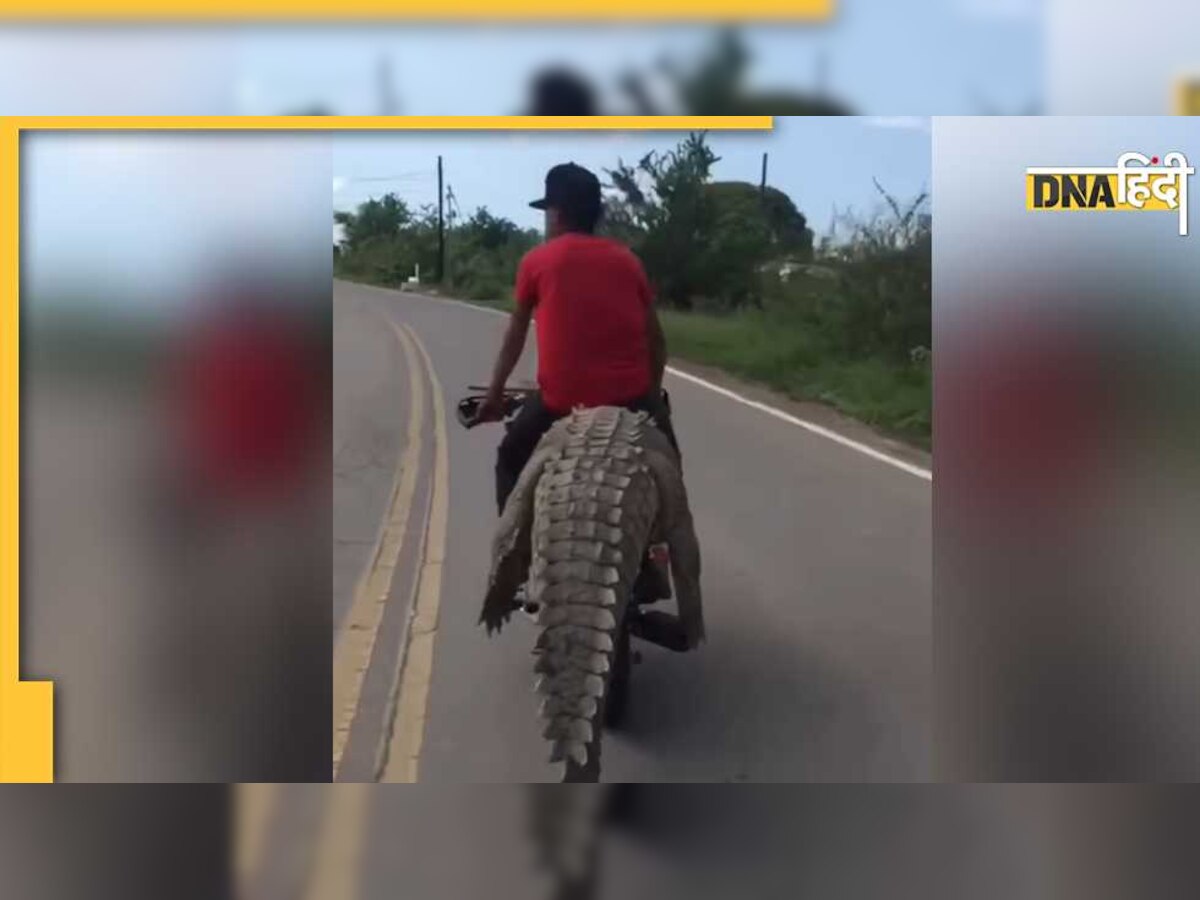 Viral Crocodile Video: बाइक चला रहा था युवक, सीट देखकर उड़ जाएंगे आपके होश