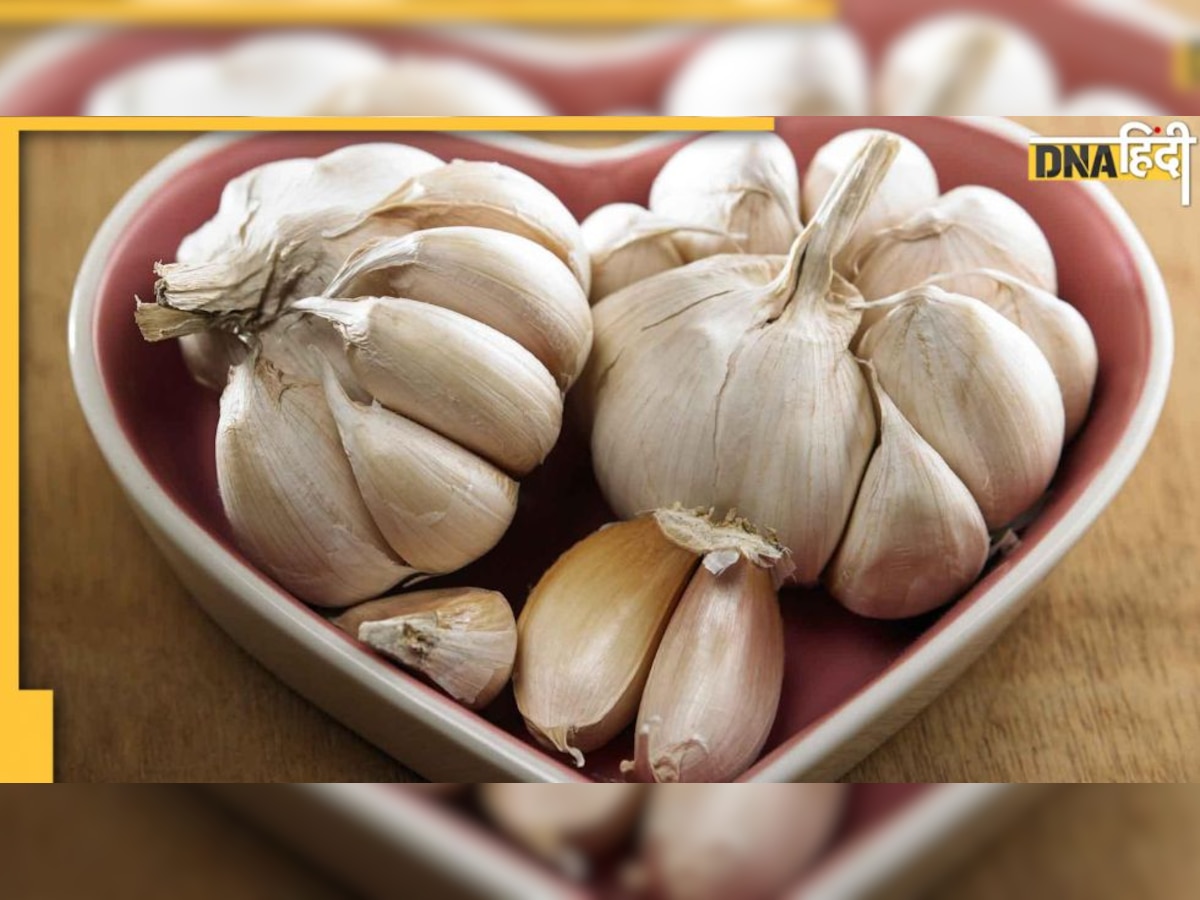 Winter Superfood Garlic: इन 10 वजहों से ठंड में रोज खाएं लहसुन, ब्लड सर्कुलेशन से लेकर कोलेस्ट्रॉल तक रहेगा मैनेज