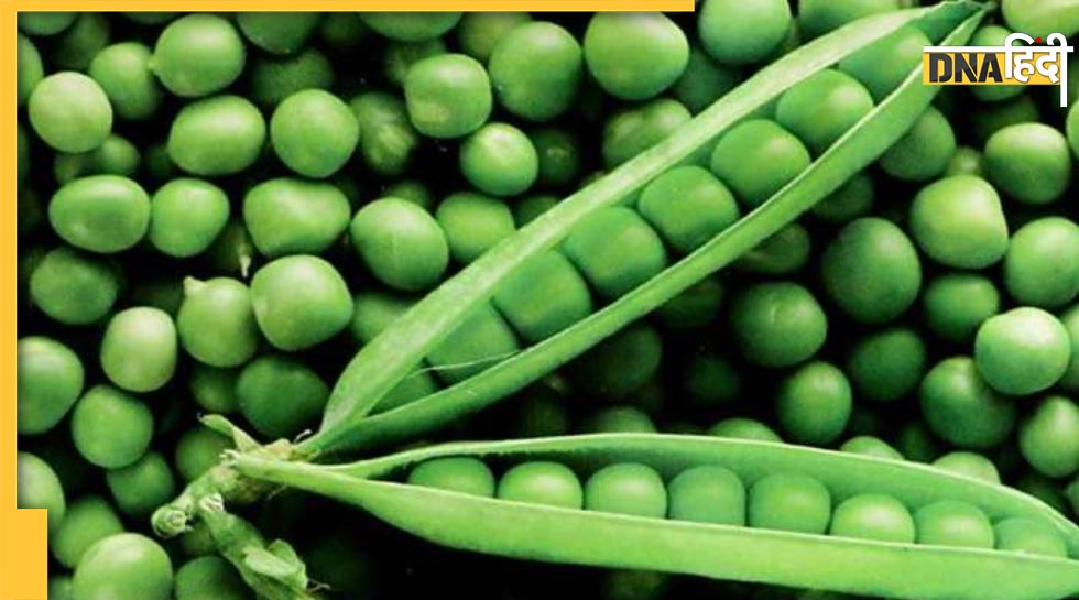 Peas Side Effects इन बीमारियों में हरी मटर खाना है जहर के समान, रोग को