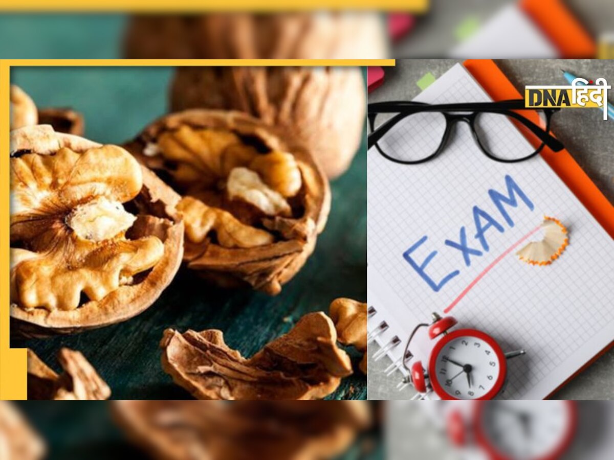 Exam Stress: एग्जाम में बच्चे को जरूर खिलाएं ये सुपरफूड, स्ट्रेस होगा दूर और कंप्यूटर की तरह तेज चलेगा दिमाग