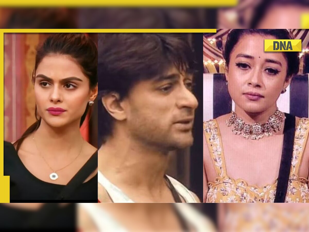 Tina Datta, Priyanka Chahar Choudhary earn netizens' wrath for 'bullying' Shalin Bhanot: 'Agar ladki eve teasing...'