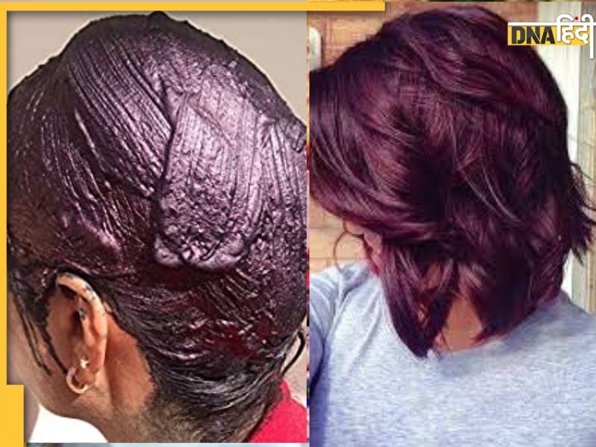 White Hair Remedy: शर्तिया 40 मिनट में Permanent Black हो जाएंगे सफेद बाल, बस लगाना शुरू कर दें ये जादुई पेस्ट, 