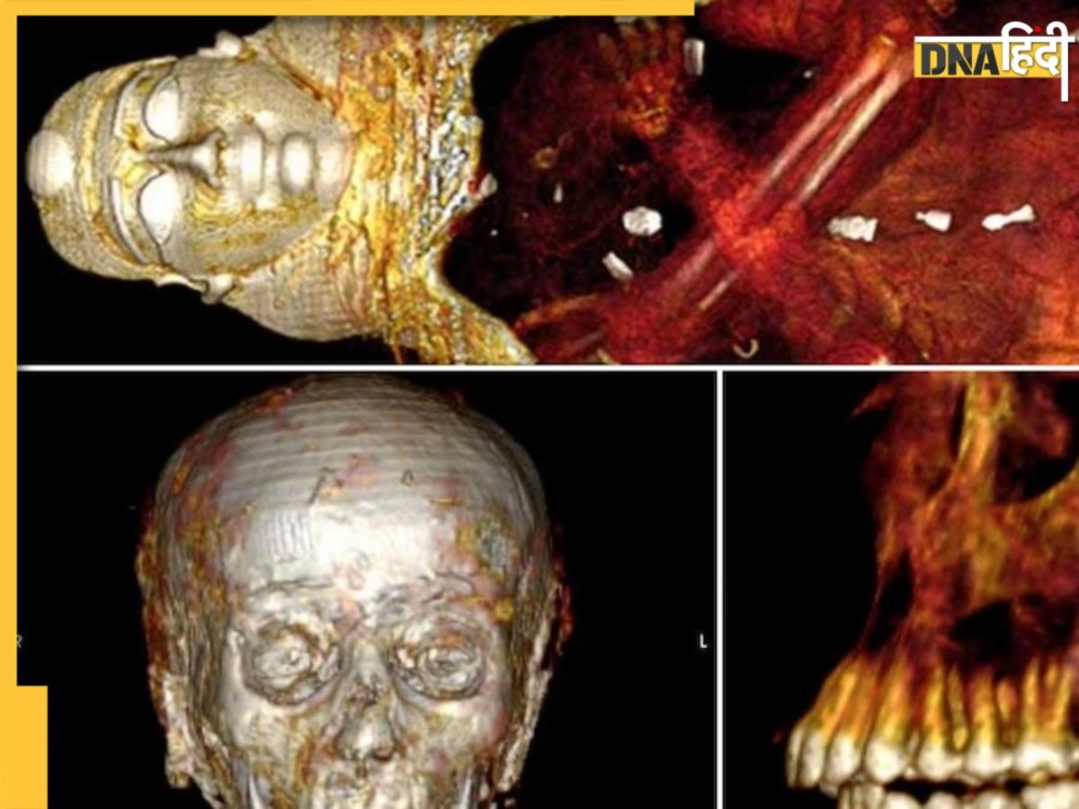 मौत के बाद जिंदगी की ऐसी तैयारी करते थे मिस्र के लोग, 2,300 साल पुरानी गोल्डन ममी ने सुलझाया राज