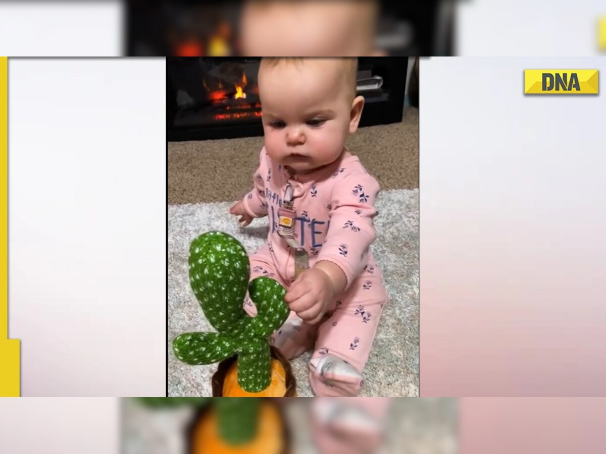 Toddler's adorable conversation with talking cactus toy will melt your hearts, viral video