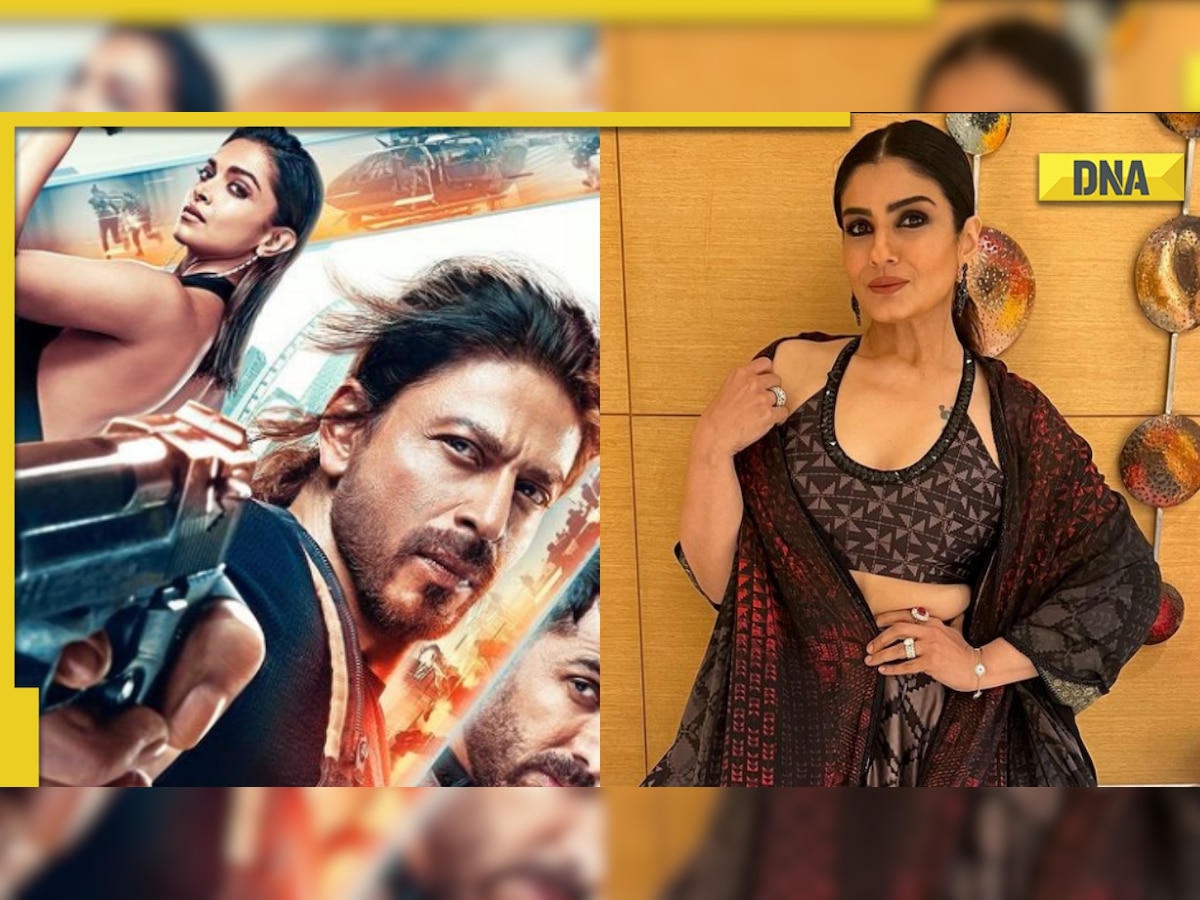 Rebina Tendun Sex - Blown away': Raveena Tandon praises Shah Rukh Khan-Deepika Padukone's  Pathaan, says 'thank you being the...'