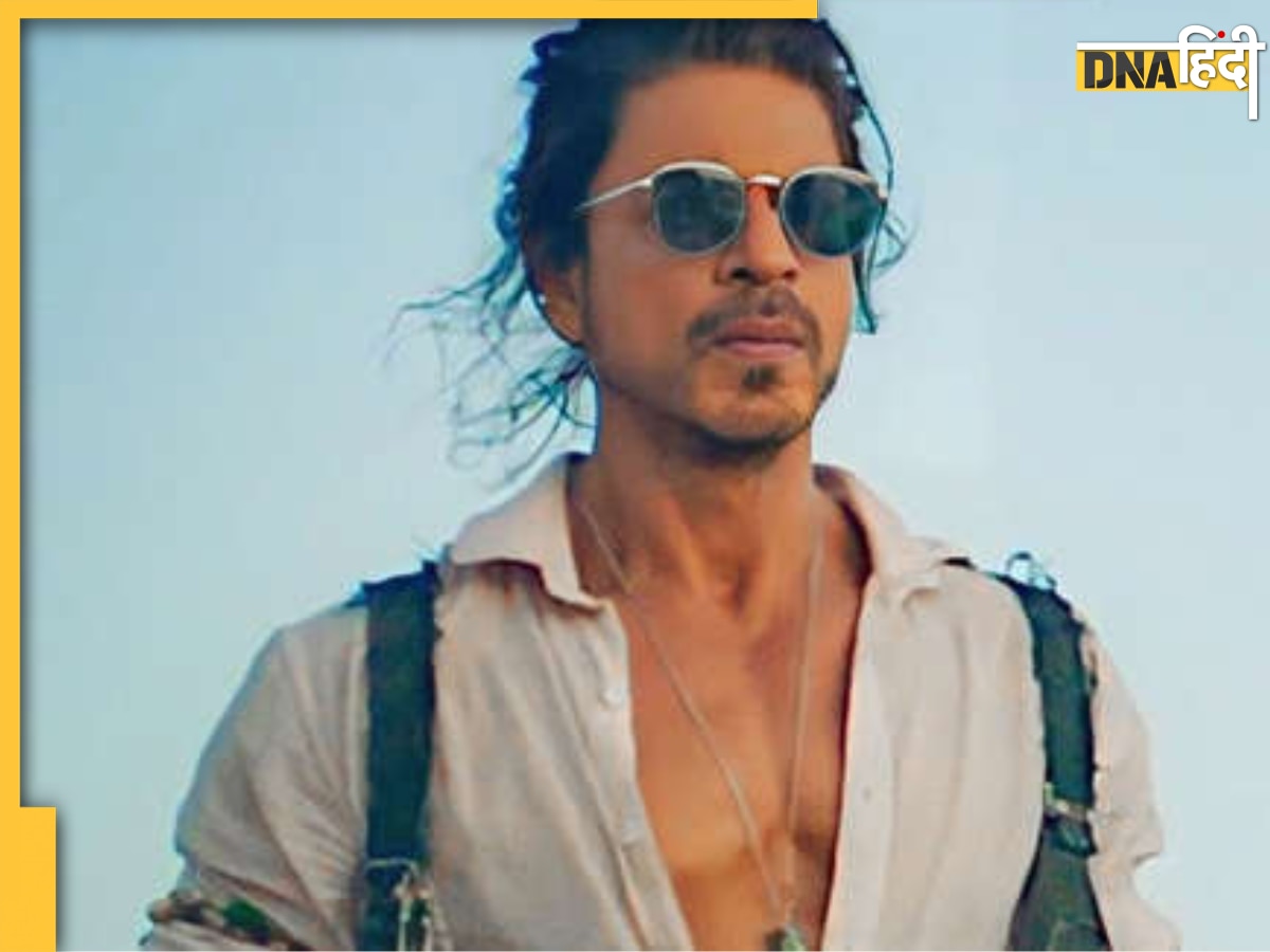 Pathaan ने बॉक्स ऑफिस पर किया धमाल, IMDb पर क्यों फुस्स हुई Shah Rukh Khan की फिल्म, हैरान कर देगी रेटिंग