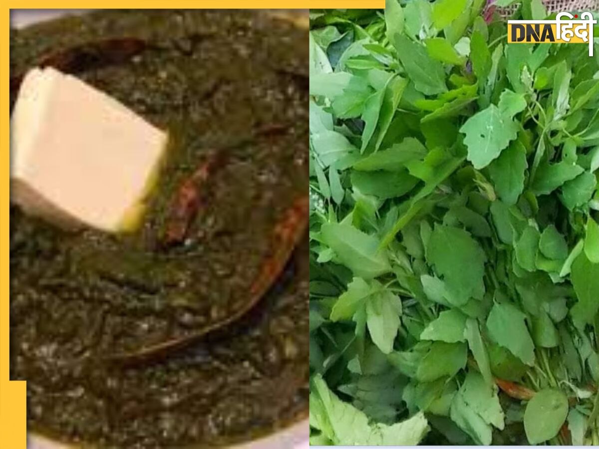 Bathua Saag: सर्दियों में ब्लड शुगर से लेकर इन 5 बीमारियों में असरदार है बथुआ साग, फायदे जान आप भी Diet में कर लेंगे शामि��ल