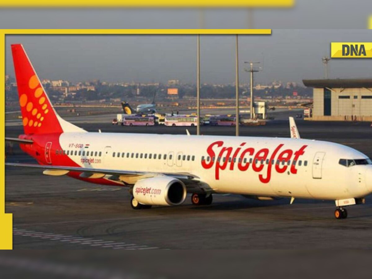 ‘Flight hijacked’: Passenger tweets after SpiceJet Dubai-Jaipur flight gets diverted to Delhi, arrested