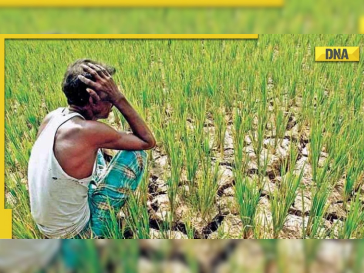 Budget 2023 expectation: PM Kisan Samman Nidhi Yojana installment likely to be increased to Rs 8000