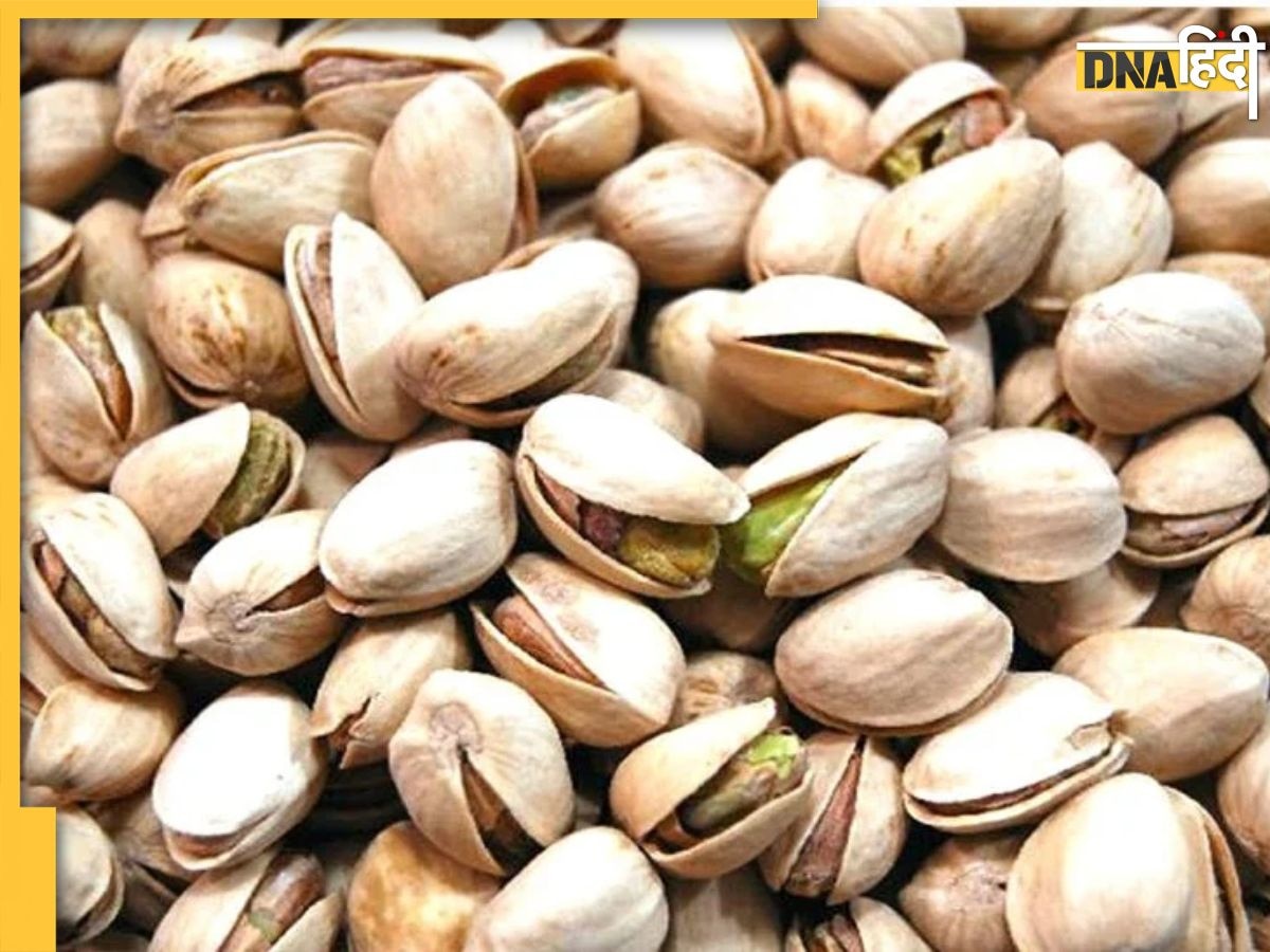 Benefits Of Pistachios: रोजाना पिस्ता खाने से मिलते हैं ये 10 फायदे, यौन समस्याओं से छुटकारे के साथ मिलती है डबल एनर्जी