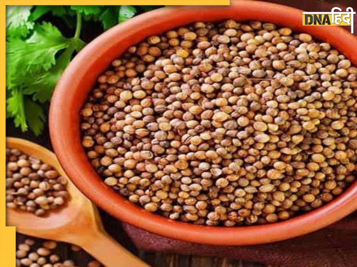 Coriander Seeds: इस तरह करें धनिया के बीज का सेवन, शरीर में जमा यूरिक एसिड कर देगा बाहर, जोड़ों के दर्द से मिलेगा आराम