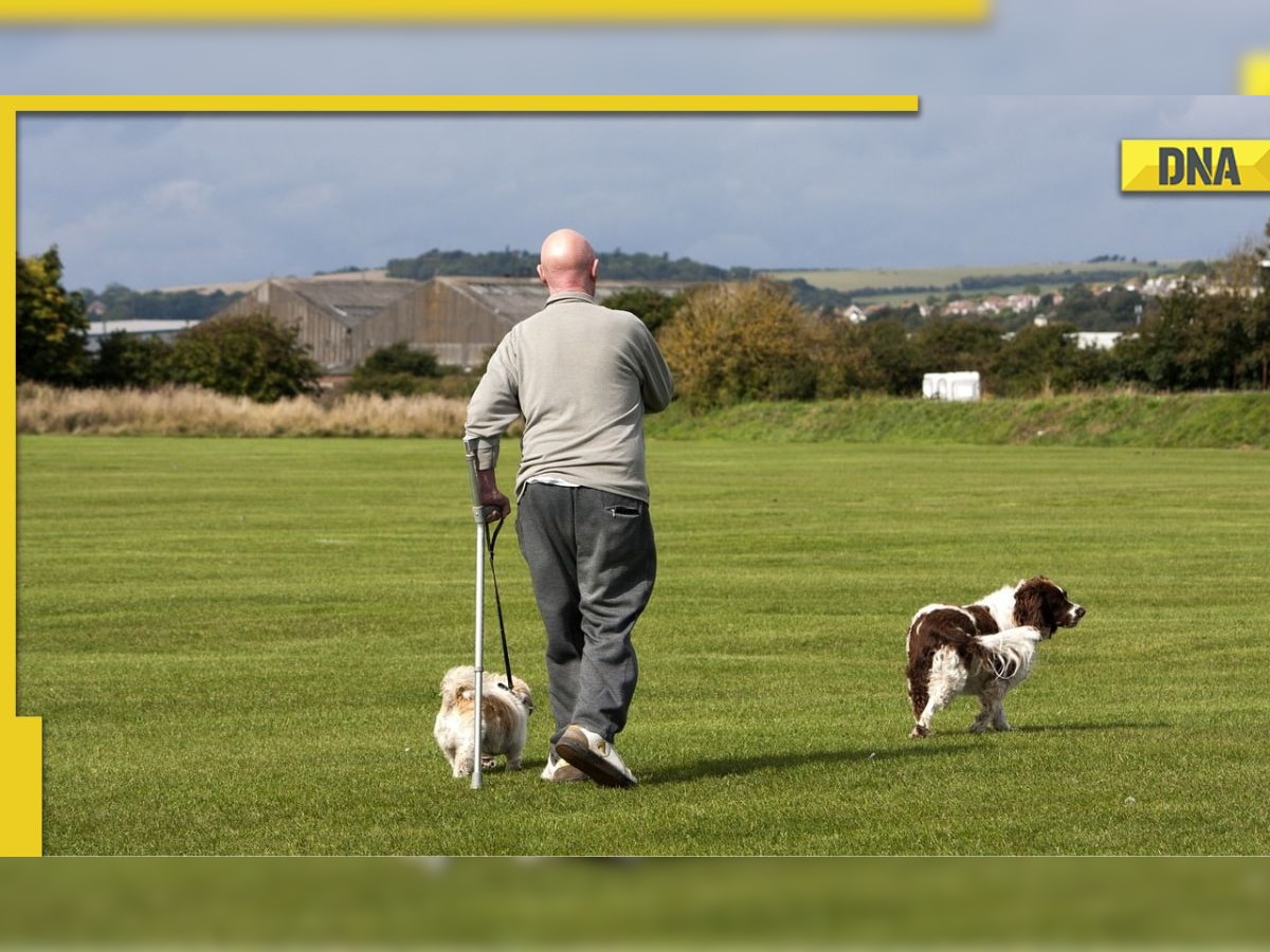 Man left full-time teaching job to be a dog walker, now earns nearly Rs 1 crore 