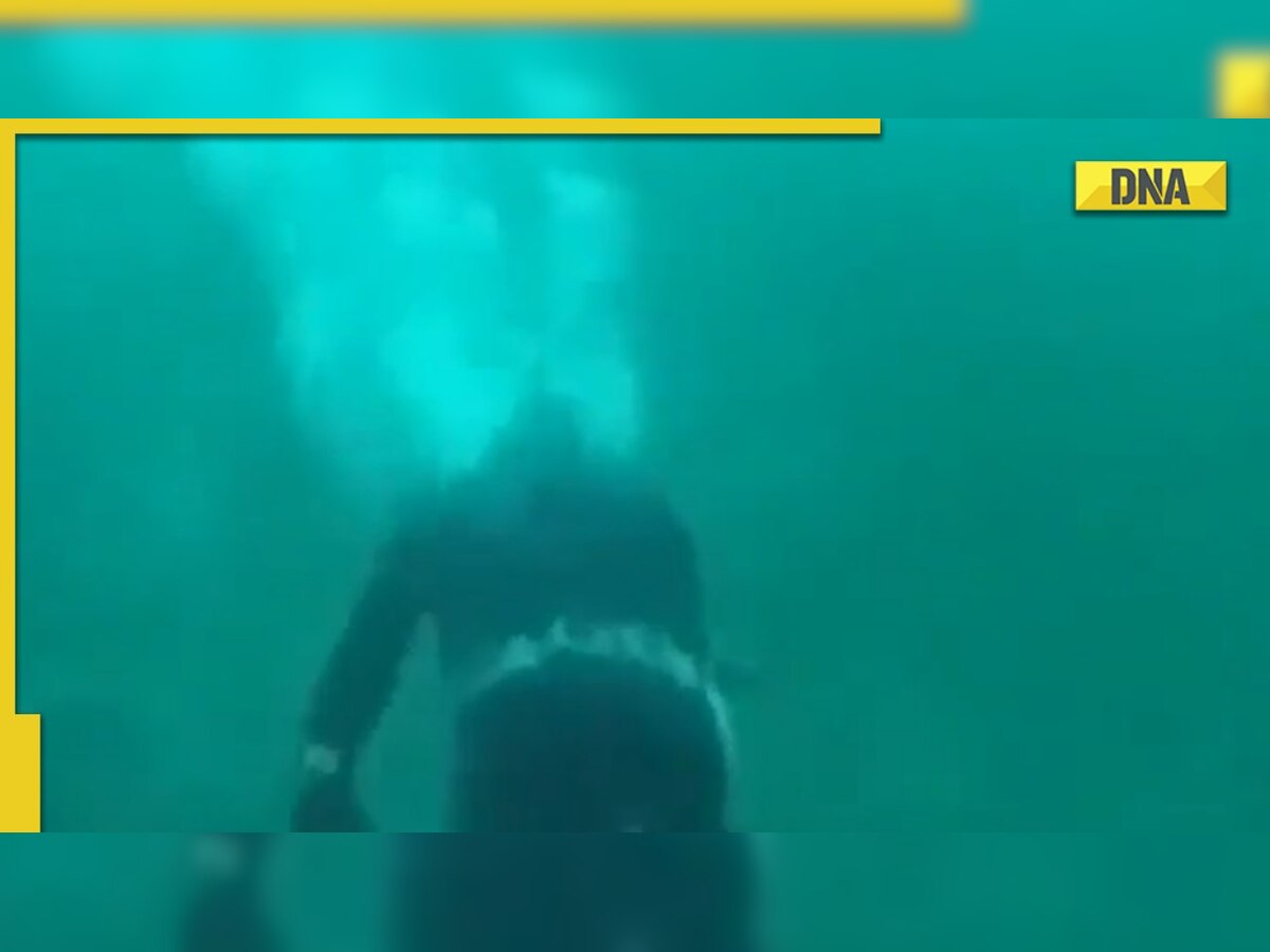 'Baal baal bach gaya': Video of man's close encounter with shark goes VIRAL